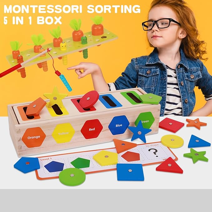 AISHUN Montessori for Toddlers, Magnetic Color Shape Sorting Matching Box,Early Learning Toys,Wooden Educational Toy, Fine Motor Skills Toys for Boys Girls (New)