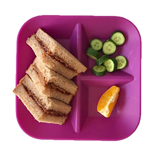 | 100% Silicone Plates for Babies & Kids | MADE IN THE USA | BPA, BPS, Lead, Cadmium, PVC, & Phthalate Free | Children's Divided Placemat Set | Plum, 2 pack