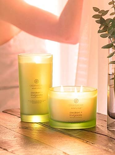 Chesapeake Bay Candle Scented Candle Awaken + Invigorate (Lemongrass Eucalyptus) Coffee Table