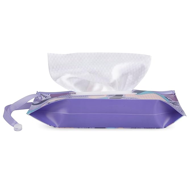 PandaEar 4 Pack Baby Wipe Dispenser, Portable Wipe Holder Refillable Baby Wipes Container Wet Wipe Pouch or outings and Travel
