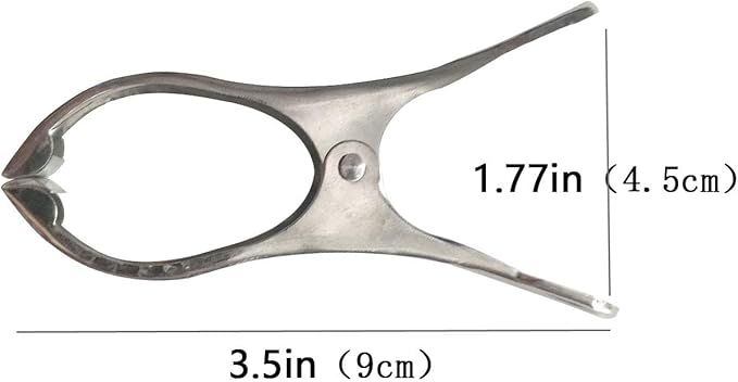 FOMMEN Metal ClothesPins,Row Cover Clips 20 Pack 3.5 Inch Stainless Steel Pool Towel Clips,Chair Clips for Beach Towels,Garden Clips，Greenhouse Clamps：Quilts, Blankets from Blow Away Or Decline