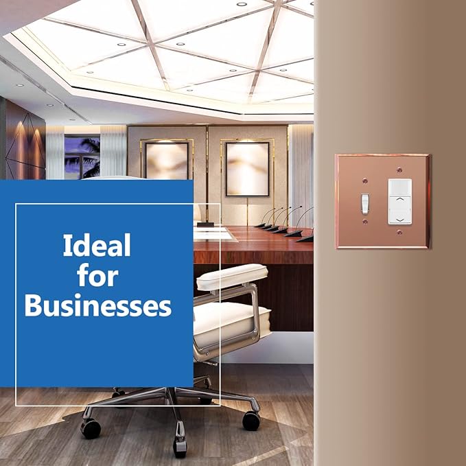 LIDER Reflective Acrylic Combination Wall Plate, Mirrored Double Switch Plate, Combo Toggle Switch and Decorator Outlet Cover, Acrylic Glass, Oversized 2-Gang 5.25" x 5.25", LWP-1131O-ARG, Rose Gold