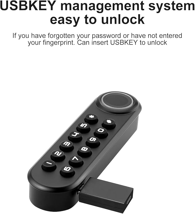 Fingerprint Cabinet Lock, Smart Biometric Password Lock With USB Key, Keyless Hidden File Drawer Wardrobe, Child Safety, DIY Wooden Furniture Privacy for Home Office
