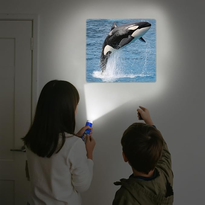 Pup Go Sea World Projector Flashlight for Kids Ages 3 4 5 6 7, with 3 Discs 24 Images, Sea Creatures Toys for Boys Girls, Shark Toy for Kid, Occean Night Light Projector, Shark Gifts Games for Kids