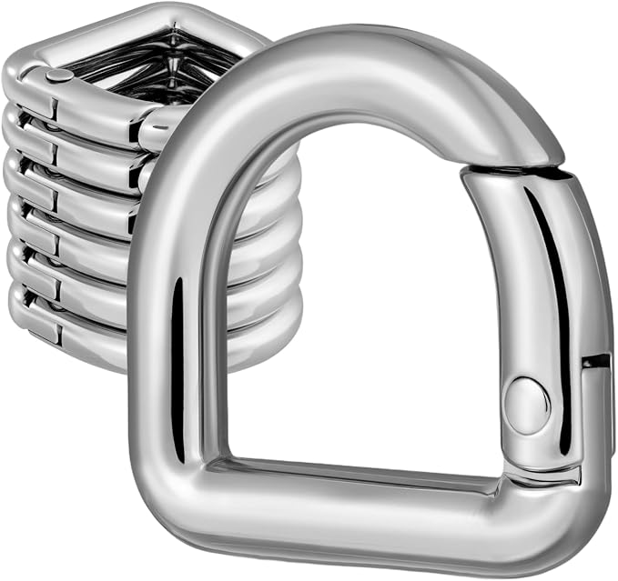 10pcs Metal D Ring Spring Key Hooks Keyring Clip for Keychain Buckle, Backpacks Handbag Purse Hardware, DIY Crafts