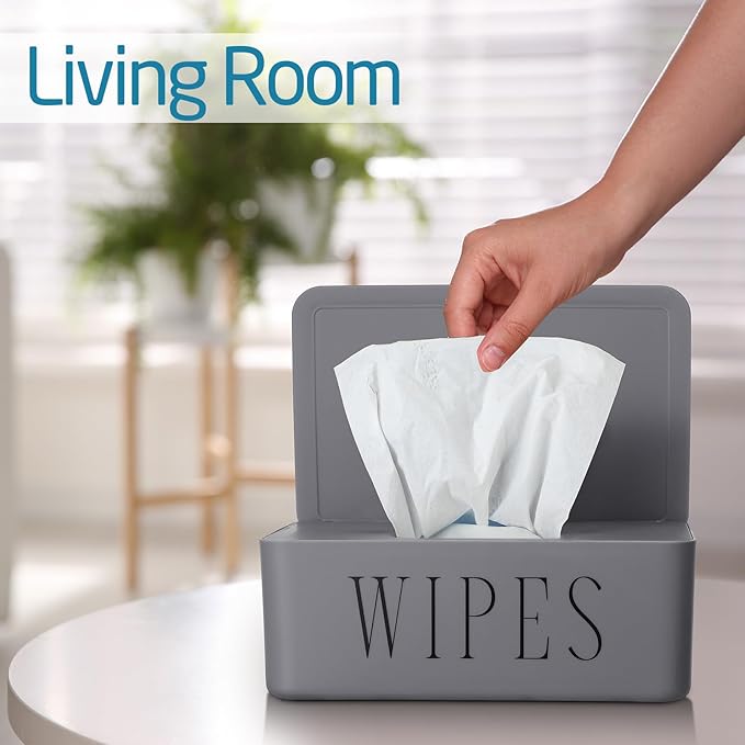 Singhoow 3 Pack Baby Wipes Dispenser Holder Wipe Container for Bathroom with Lid Toilet Tissue Paper Storage Refillable Box for Home Office Cars(Small,Gray)