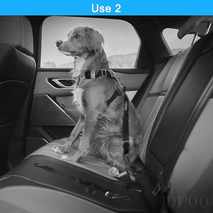 Harnesses Belts Straps for Fixing Securing Pet Dog Seat Car Luggage Cargo with Hook Lock Isofix Interface Anchor Connector,Adjustable Length 10-60"(1 Pack)
