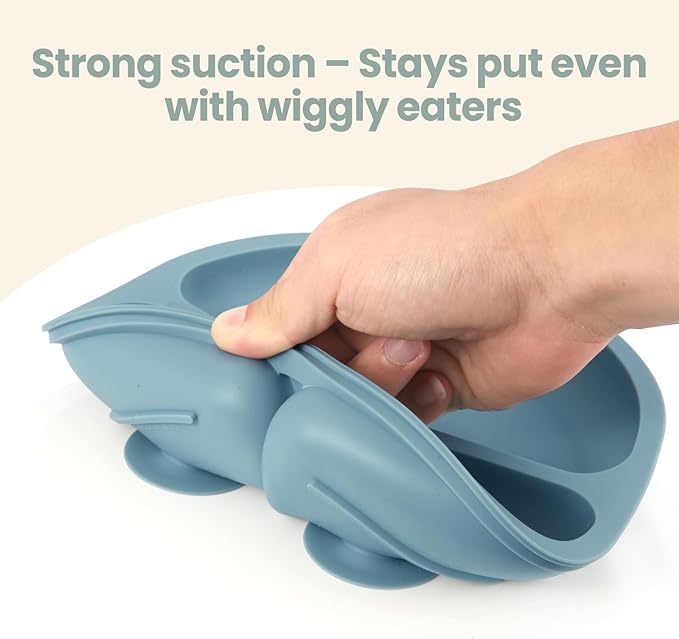 Eascrozn 2 Pack Baby Plates with Suction, 2 Pack Silicone Forks and Spoons Set, Baby Led Weaning Supplies, BPA Free, Toddler Utensils for Feeding Essentials