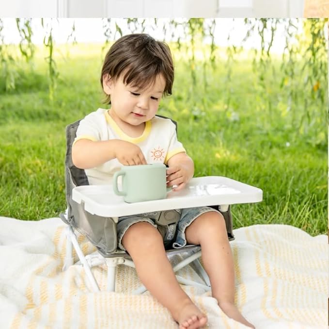 Regalo My Chair 2-in-1 Baby High Chair & Portable Travel Booster Seat, High Chair for Babies & Toddlers, Booster Seat for Kitchen Chair, Oversized Tray with Cup Holder, Gray