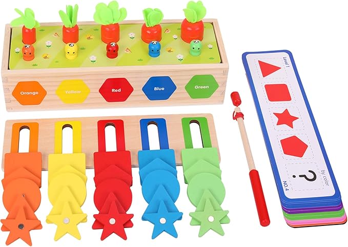 AISHUN Montessori for Toddlers, Magnetic Color Shape Sorting Matching Box,Early Learning Toys,Wooden Educational Toy, Fine Motor Skills Toys for Boys Girls (New)