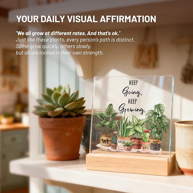 Inspirational Christmas Gifts for Women, Girl, Motivational Desk Decor for Dorm, Office, Cubicle, Classroom Teacher Desk Decor, Cheer Up Gift for Coworker Friends