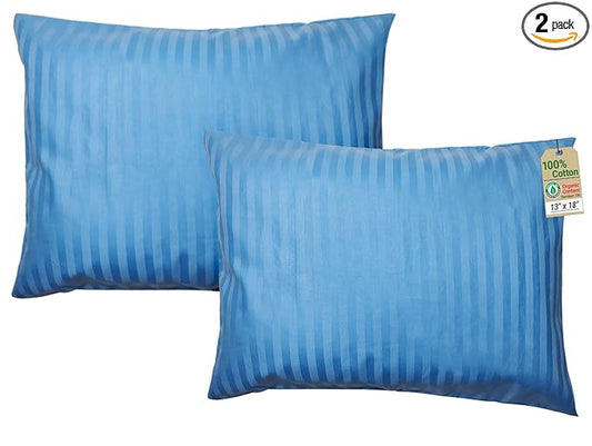 ZPECC Toddler Pillow with Pillowcase 2 Pack - 13x18 Organic Cotton Hypoallergenic Kids Pillow, Baby Essentials for Travel Crib Daycare Stroller (Intended for Age 2 and up) Blue Stripe