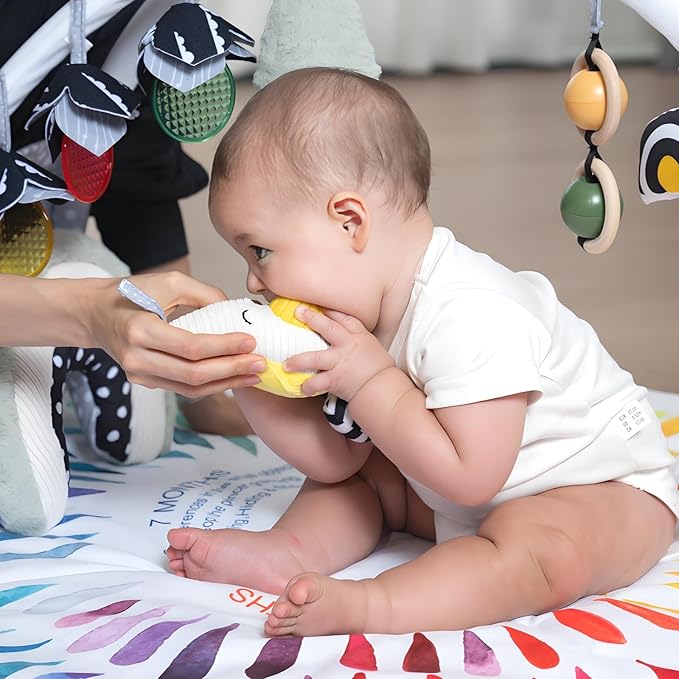 LADIDA Baby Gym Play Mat, Tummy Time Mat & Activity Gym, Infant Play Mat for Sensory Exploration and Motor Skill Development