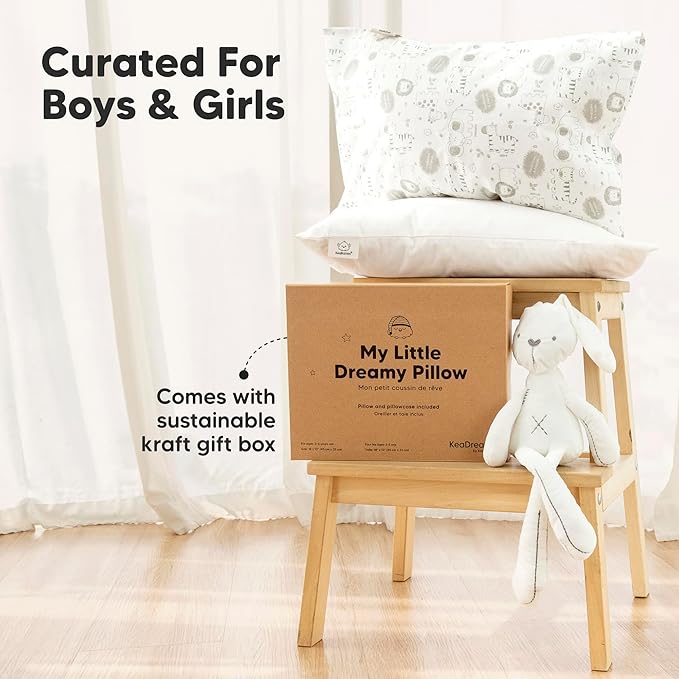 Toddler Pillow with Pillowcase - 13x18 My Little Dreamy Kids Travel Bed Pillows for Sleeping, Organic Cotton Small Pillowcase, Soft & Breathable, Machine Washable, Toddlers 2-5 years old (Cosmo)