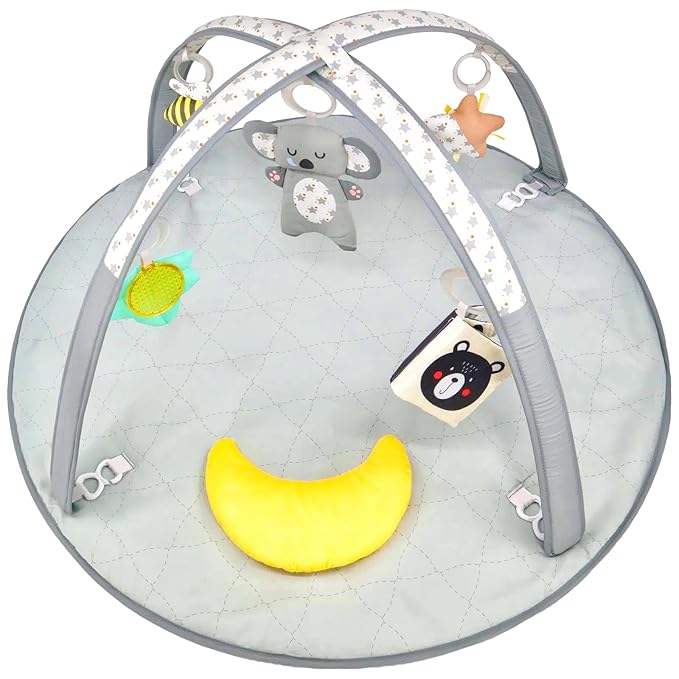 LADIDA Mat, Stage Based, Multi-Sensory & Motor Skills Development Mat with Toy, Easy to Install & Clean