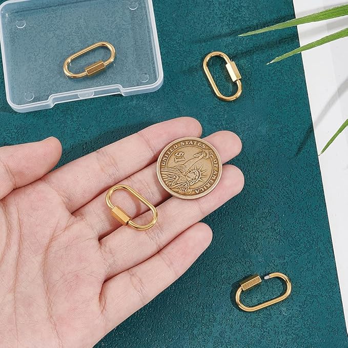 UNICRAFTALE 4pcs Golden Stainless Steel Oval Screw Carabiner Lock Screw Lock Clip Clasps Lock Key Carabiner Clasp Metal Keychain Clip Hook Quick Link for Jewelry Making Handbag Accessory 24x13x4.5mm