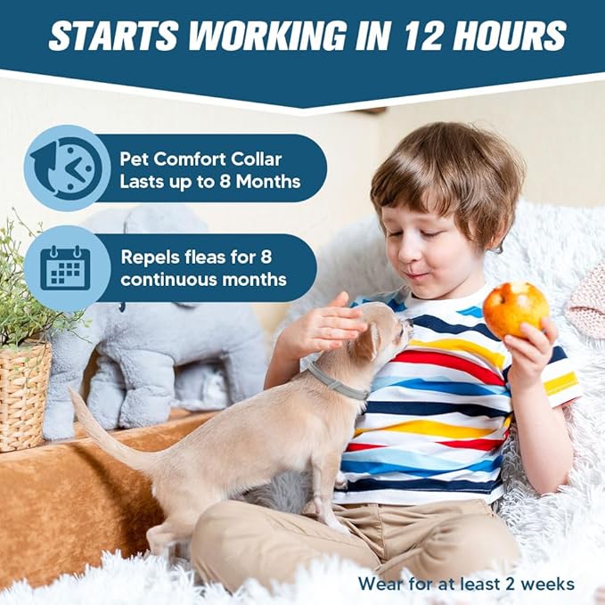 AMDEIUR Flea and Tick Collar for Puppies, Dog Tick Collars, Flea Collar for Small Dogs, Waterproof, 8 Months Protection Each, One Size Fits All-2P