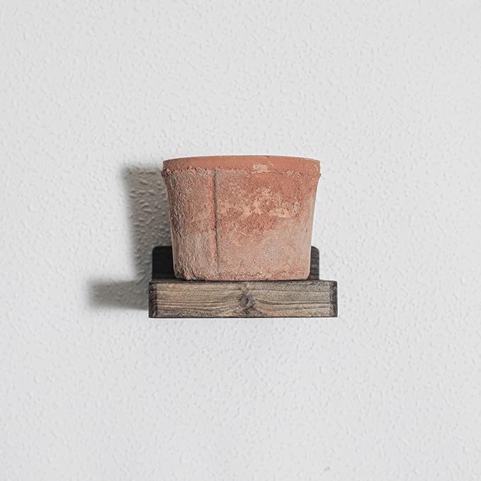 Freezing point Small Floating Shelf for Wall Set of 4 Natural Wood 4Inch Mini Wall Shelves Decor Plant Display Collectibles Mounted Kitchen Bathroom Bedroom Corner Decorative Storage Tiny Stand Brown