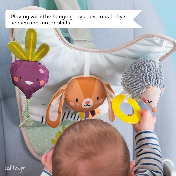 Taf Toys Infant Car Seat Development Center Newborn Baby Essentials Must Haves Toy, Car Seat Accessories Activity Center with Car Seat Mirror, for Newborn Toys 0 3 Months Brain Development