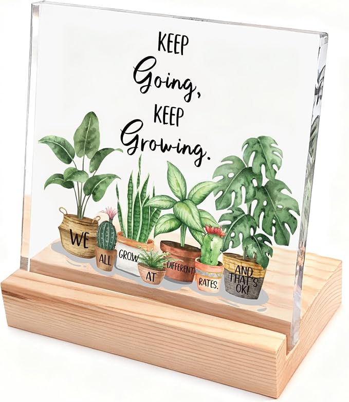 Inspirational Christmas Gifts for Women, Girl, Motivational Desk Decor for Dorm, Office, Cubicle, Classroom Teacher Desk Decor, Cheer Up Gift for Coworker Friends