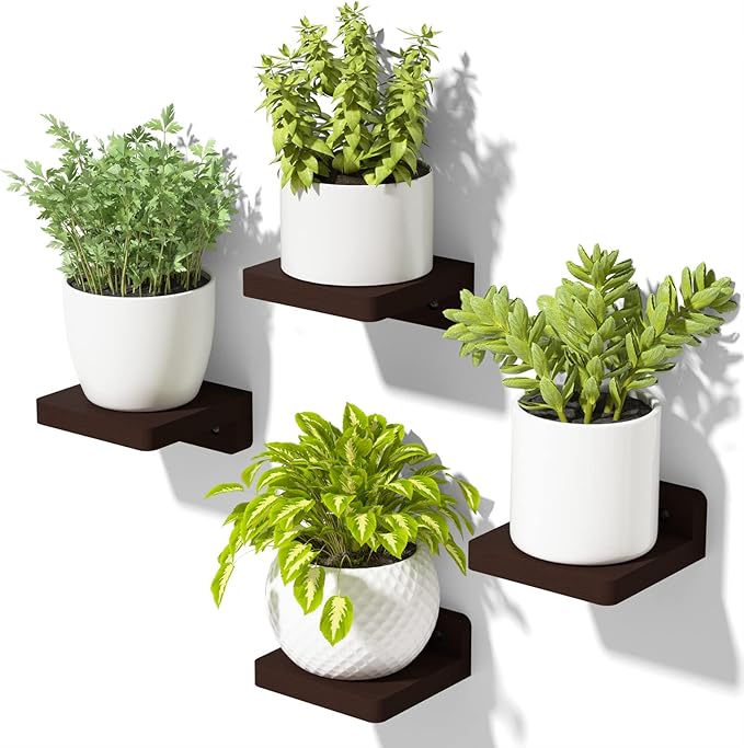 SRIWATANA Small Floating Shelves Wall Mounted, Wood Shelf for Decoration and Storage Set of 4, Mini Display Shelf for Bedroom, Bathroom, Kitchen, Office (Walnut, 4 inch) (Pack of 2)