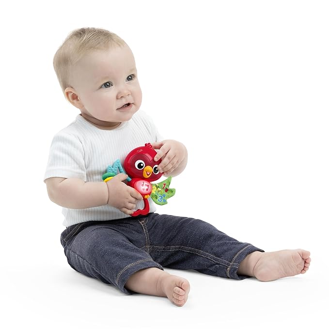 Baby Einstein Roxys Bright Flight Musical Baby Toy & Teether, Plays Real Bird Sounds with 10+ Melodies, Multisensory, Ages 3 Months and Up