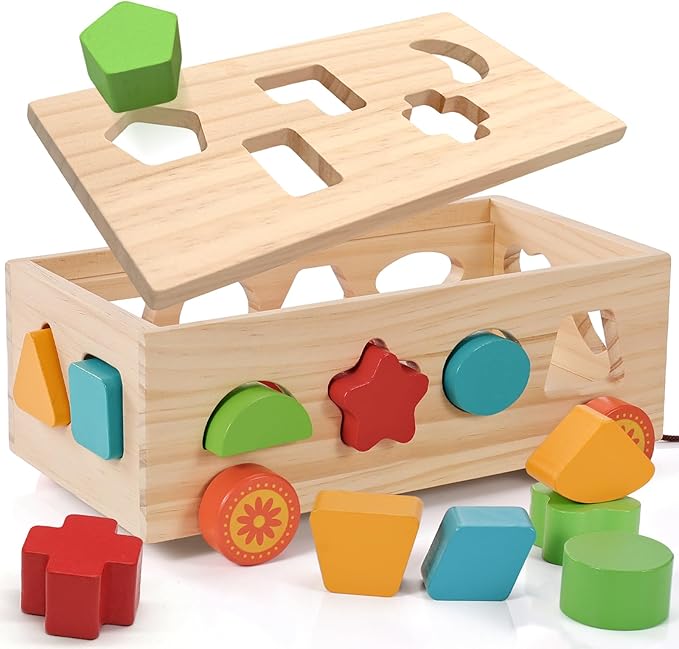 Jessruly Shape Sorter - Montessori Wooden Learning Shapes Toy with 17 Shape Blocks - Early Education and Sensory Development Storage Pull Car for Toddlers, SSC03