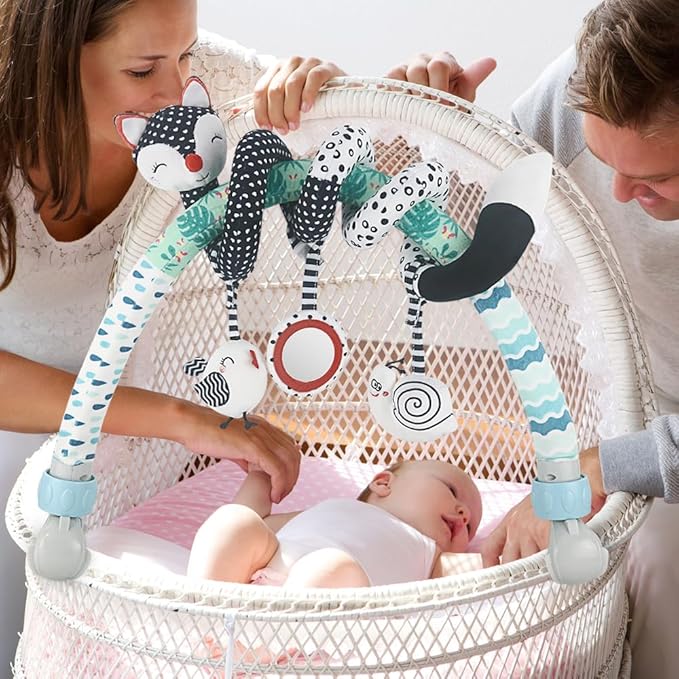 Baby Stroller Arch Toys, Black and White Hanging Toy Activity Set, Stretch & Spiral Adjustable Clamp for Cribs & Car Seats, Includes Rattles, Squeaker & Teether for Newborns and Infants (02)