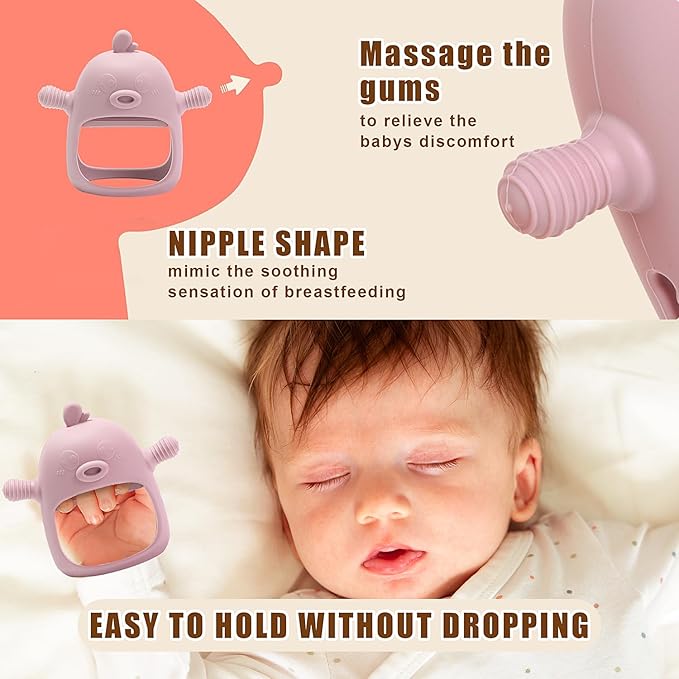 Baby Fruit Feeder & Breastmilk Popsicle Mold Set – 3 Pack Silicone Teething Relief Kit with Food Feeder Pacifier, Freezer Tray with Lid & Baby Teether (Blush)
