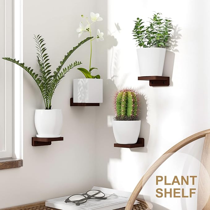 SRIWATANA Small Floating Shelves Wall Mounted, Wood Shelf for Decoration and Storage Set of 4, Mini Display Shelf for Bedroom, Bathroom, Kitchen, Office (Walnut, 4 inch) (Pack of 2)
