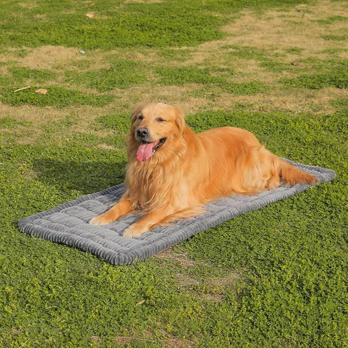 Dog Car Seat Cover for Back Seat, Dog Bed for Car, Fit for Backseat Extenders, Car Seat Protector, Nonslip Soft Durable for Cars Trucks and SUVs (Gray, 24.8" x 54")