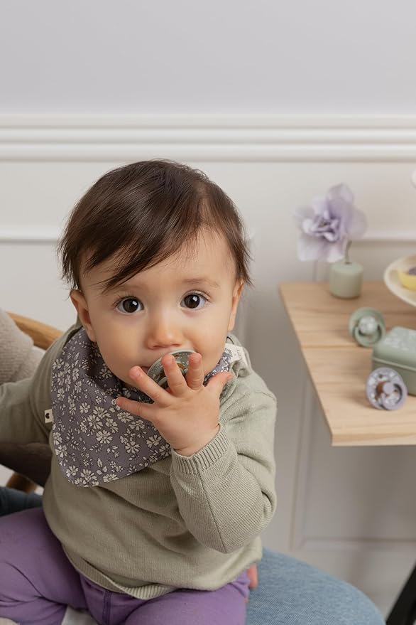 Bibs Colour Pacifier 2-Pack | BPA Free Soother, Round Nipple. Natural Rubber Latex,