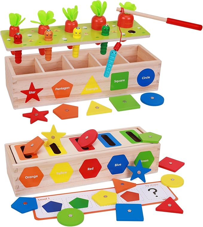 AISHUN Montessori for Toddlers, Magnetic Color Shape Sorting Matching Box,Early Learning Toys,Wooden Educational Toy, Fine Motor Skills Toys for Boys Girls (New)