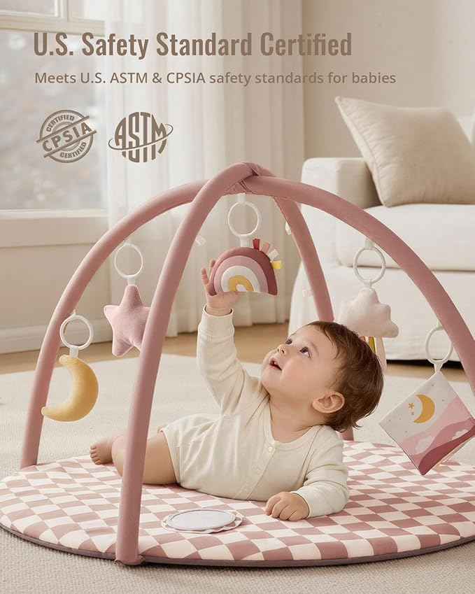 Blissful Diary Baby Play Gym Mat, Play Mat Activity Mat with 6 Detachable Toys for Stage-Based Sensory & Motor Skill Development, Easy to Install & Clean, Baby Essentials Gift, Blush Checkered