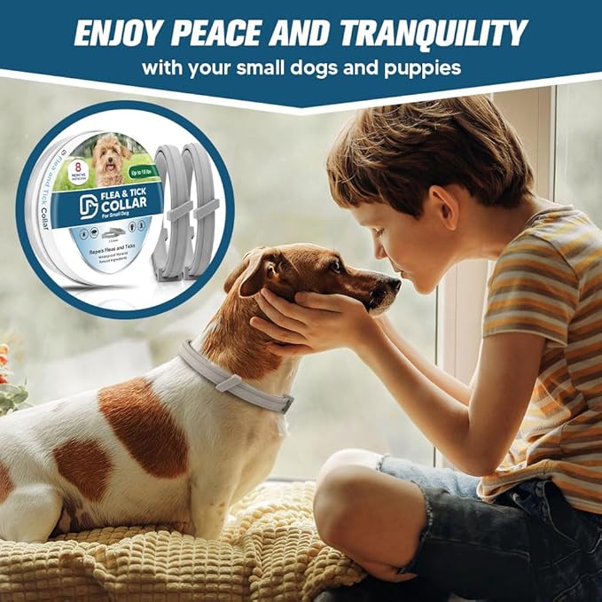 AMDEIUR Flea and Tick Collar for Puppies, Dog Tick Collars, Flea Collar for Small Dogs, Waterproof, 8 Months Protection Each, One Size Fits All-2P