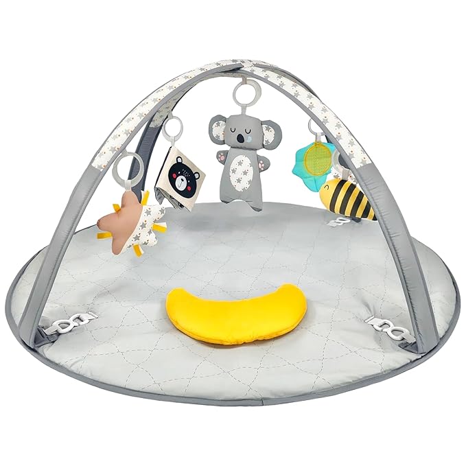 LADIDA Mat, Stage Based, Multi-Sensory & Motor Skills Development Mat with Toy, Easy to Install & Clean