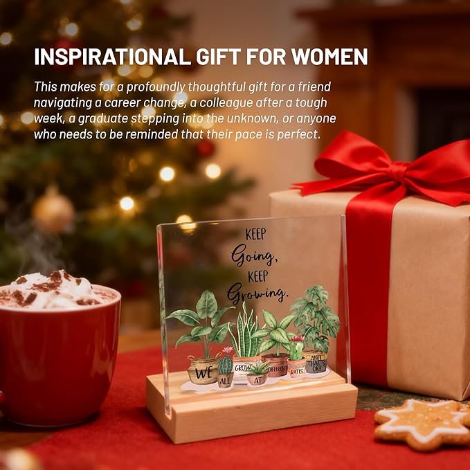 Inspirational Christmas Gifts for Women, Girl, Motivational Desk Decor for Dorm, Office, Cubicle, Classroom Teacher Desk Decor, Cheer Up Gift for Coworker Friends