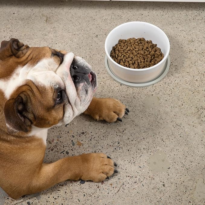 Waggo Habit Silicone Dog Placemat – Set of 2 Modern Heavyweight Silicone Dog Food Mats, Dishwasher Safe, Non-Slip, Solid Color – Light Grey (Large, 9")