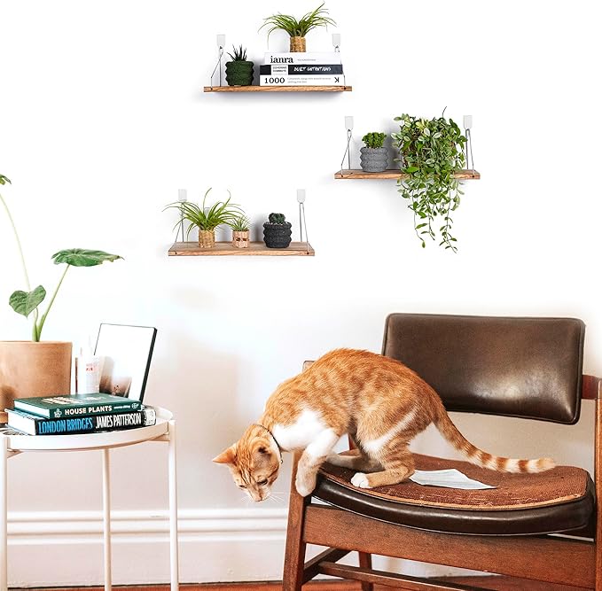 MITIME Floating Shelves Set of 3 Rustic Solid Wood Floating Shelf Wall Storage Shelves for Living Room, Bedroom, Bathroom, Kitchen Laundry, Office,no Drill Shelf(Light Color L+L+L)