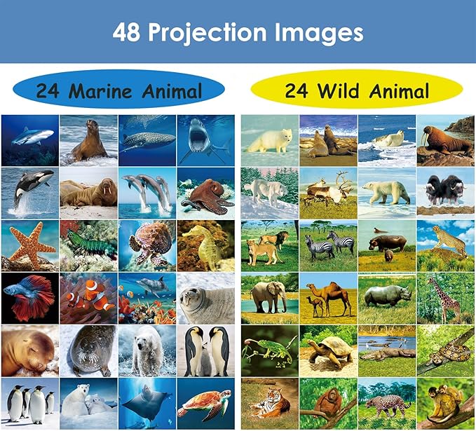 Pup Go 2-Pack Wild Animal & Seaworld Torch and Projector for Ages 3 4 5 6 7, Ideal Toys for Boys, Cool Kids Torch with 6 Discs and 48 Images, Educational Science Kits for Toddlers and Children