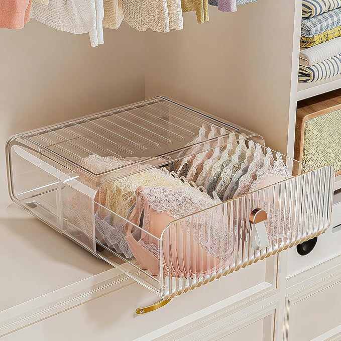 Neprock Underwear Drawer Organizer - Stackable Bra Organizer for Closet, 1 Cell Clear Acrylic Bra Storage Box, Closet Organizers and Storage for Lingerie, Undergarment, Baby Clothes, Scarf