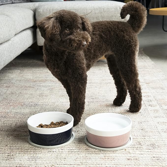 Waggo Habit Silicone Dog Placemat for Small Medium and Large Breeds - Modern Heavyweight Silicone Dog Mat, Dishwasher Safe, Solid Placemat - Set of 2 (Small, Light Grey)