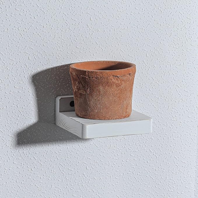 Freezing point Small Floating Shelves for Wall Set of 2 Natural Wood 4Inch Mini White Wall Shelf Decor Plant Display Collectibles Mounted Kitchen Bathroom Bedroom Corner Decorative Storage Tiny Stand