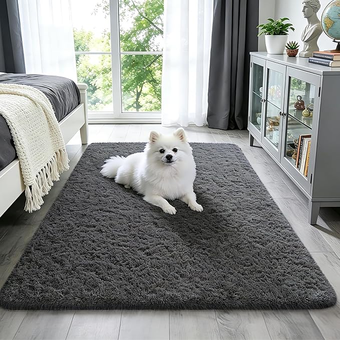 Ophanie 3x5 Rug, Bedside Preppy Dorm Area Rug, College Essentials Non Slip Grey Small Carpets for Bedroom, Anti Slip Fluffy Gray Living Room Rugs Home Decor Aesthetic, Nursery
