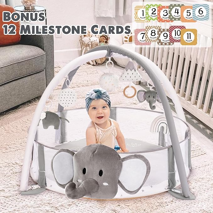 Crisschirs 5-in-1 XL Large Baby Gym & Ball Pit, Play Mat & Play Gym, Combination Baby Activity Gym with Milestone Cards for Sensory Exploration and Motor Skill Development, Balls are not Included