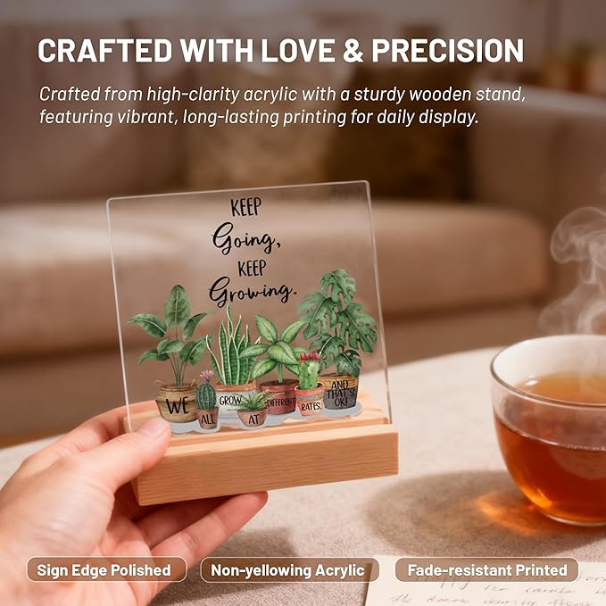 Inspirational Christmas Gifts for Women, Girl, Motivational Desk Decor for Dorm, Office, Cubicle, Classroom Teacher Desk Decor, Cheer Up Gift for Coworker Friends