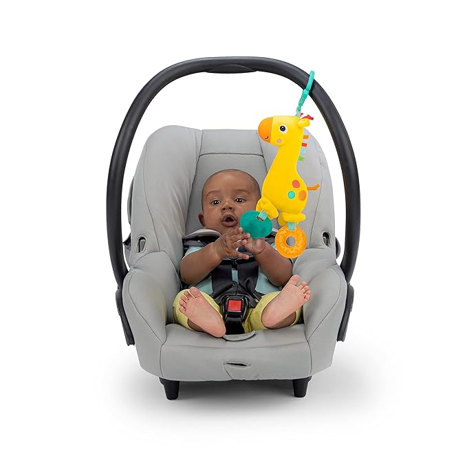 Bright Starts Safari Soother Rattle & Teether Toy for Stroller and On-The-Go - Giraffe - Unisex, Newborn + (Pack of 2)