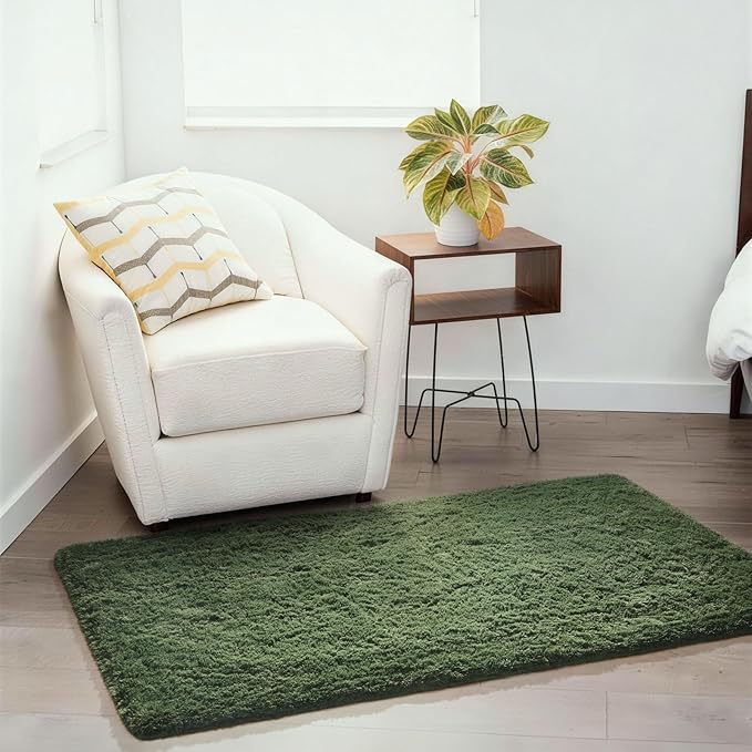 Ophanie Area Rugs for Bedroom Living Room,Color Grey Green,Size 3' x 5',Shape Rectangular
