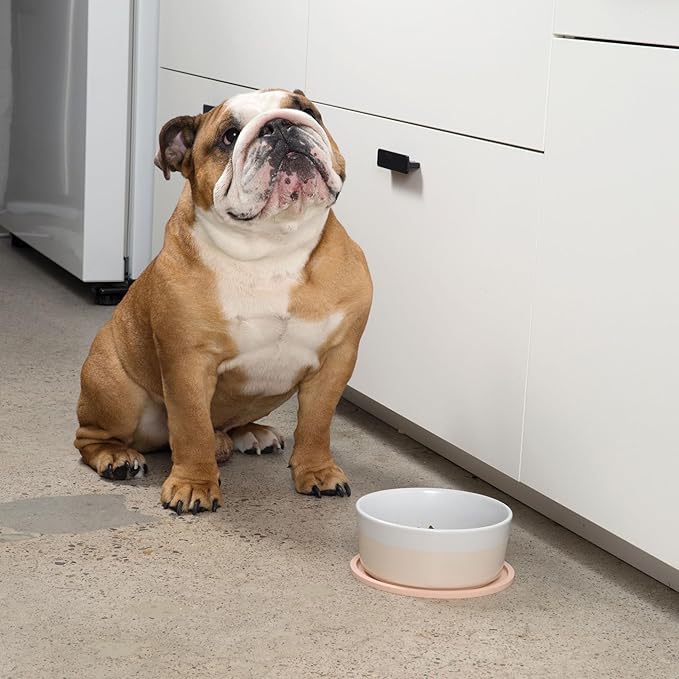 Waggo Habit Silicone Dog Placemat – Set of 2 Modern Heavyweight Silicone Dog Food Mats, Dishwasher Safe, Non-Slip, Solid Color – Light Grey (Large, 9")