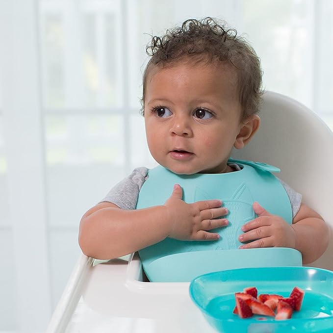 Dr. Brown's Silcone Baby Bib, 2 Pack